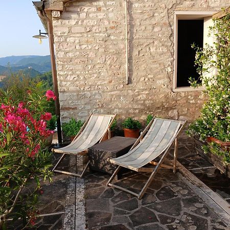 Agriturismo Del Frontino - Lo Studio 阿夸拉尼亚 外观 照片