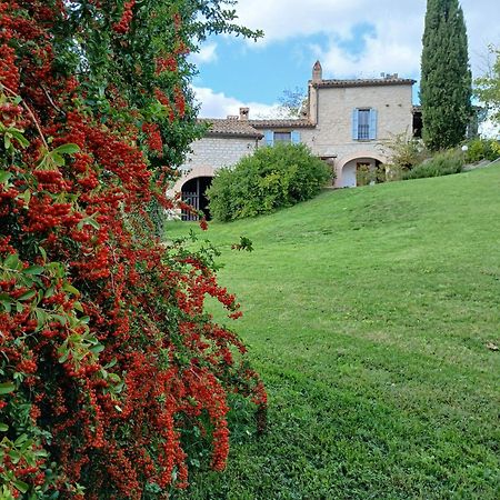 Agriturismo Del Frontino - Lo Studio 阿夸拉尼亚 外观 照片