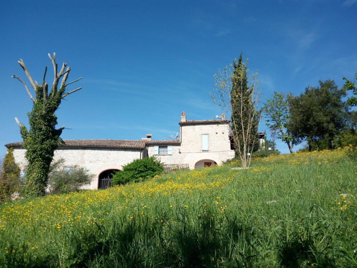 Agriturismo Del Frontino - Lo Studio 阿夸拉尼亚 外观 照片