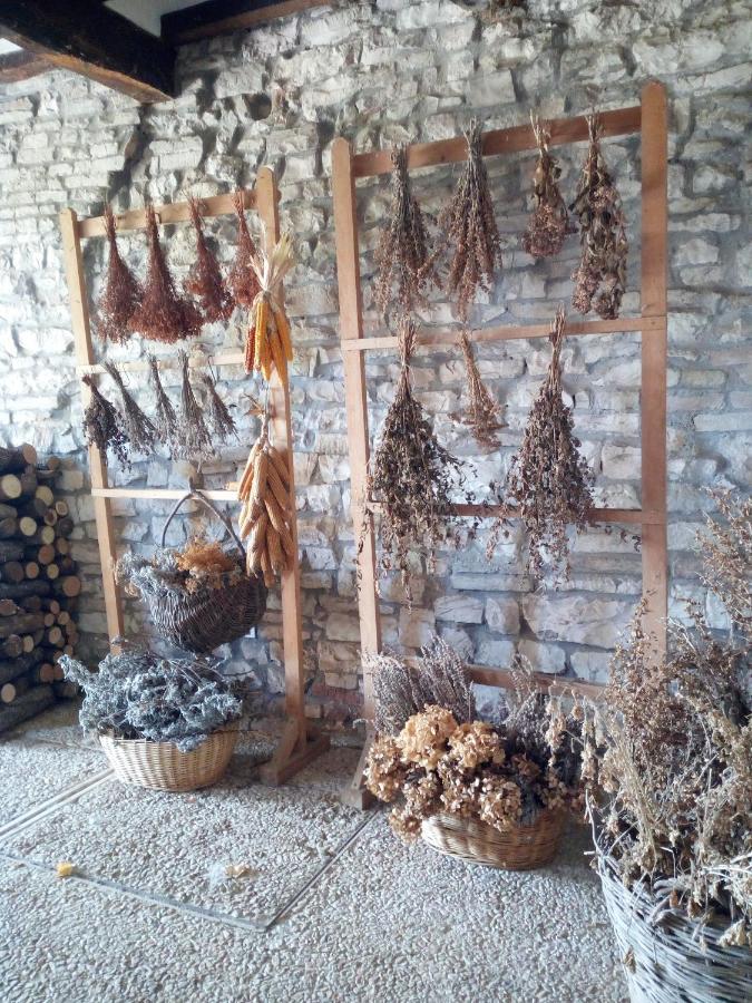 Agriturismo Del Frontino - Lo Studio 阿夸拉尼亚 外观 照片