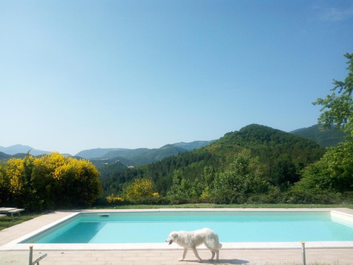 Agriturismo Del Frontino - Lo Studio 阿夸拉尼亚 外观 照片