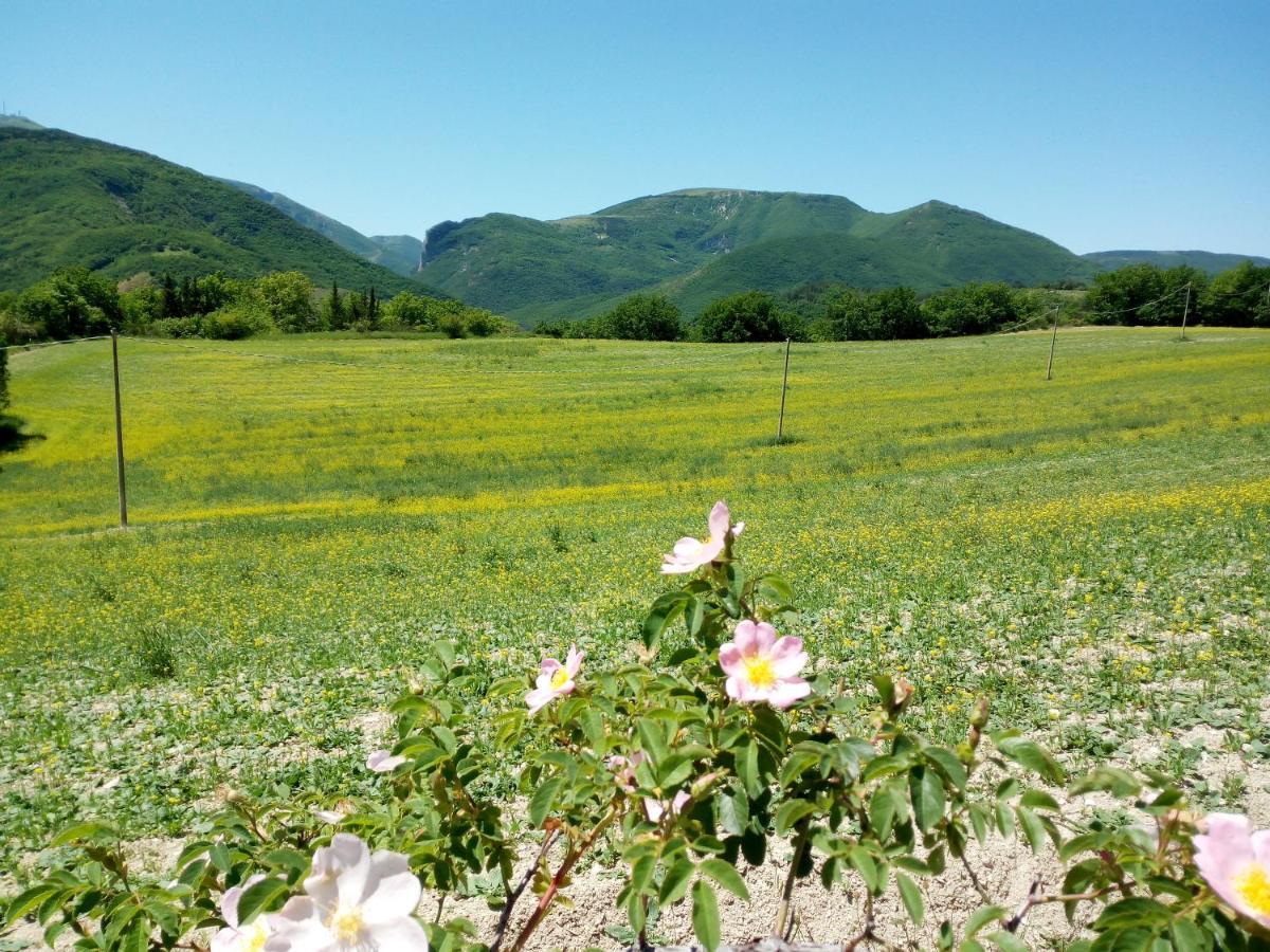 Agriturismo Del Frontino - Lo Studio 阿夸拉尼亚 外观 照片