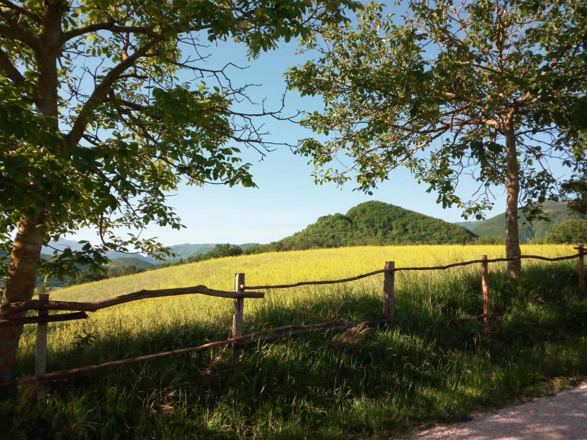 Agriturismo Del Frontino - Lo Studio 阿夸拉尼亚 外观 照片