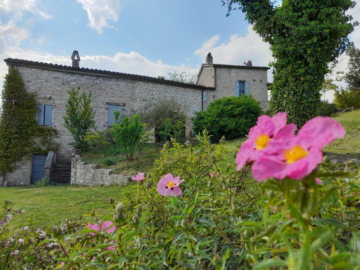 Agriturismo Del Frontino - Lo Studio 阿夸拉尼亚 外观 照片