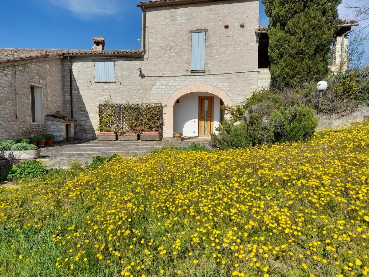 Agriturismo Del Frontino - Lo Studio 阿夸拉尼亚 外观 照片