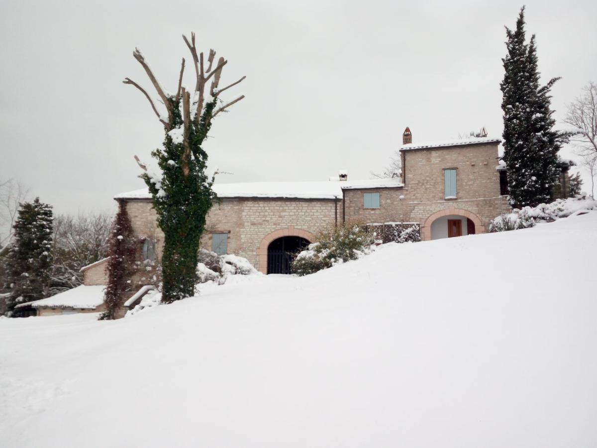Agriturismo Del Frontino - Lo Studio 阿夸拉尼亚 外观 照片