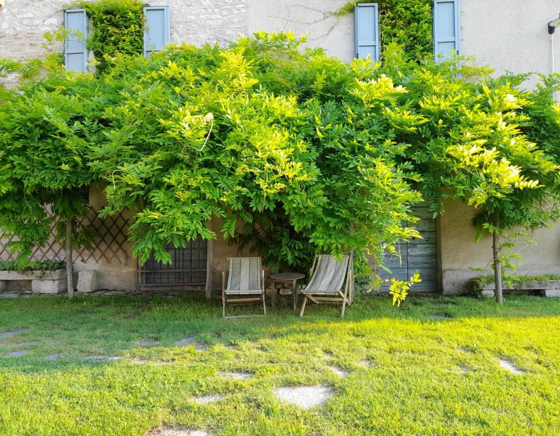 Agriturismo Del Frontino - Lo Studio 阿夸拉尼亚 外观 照片