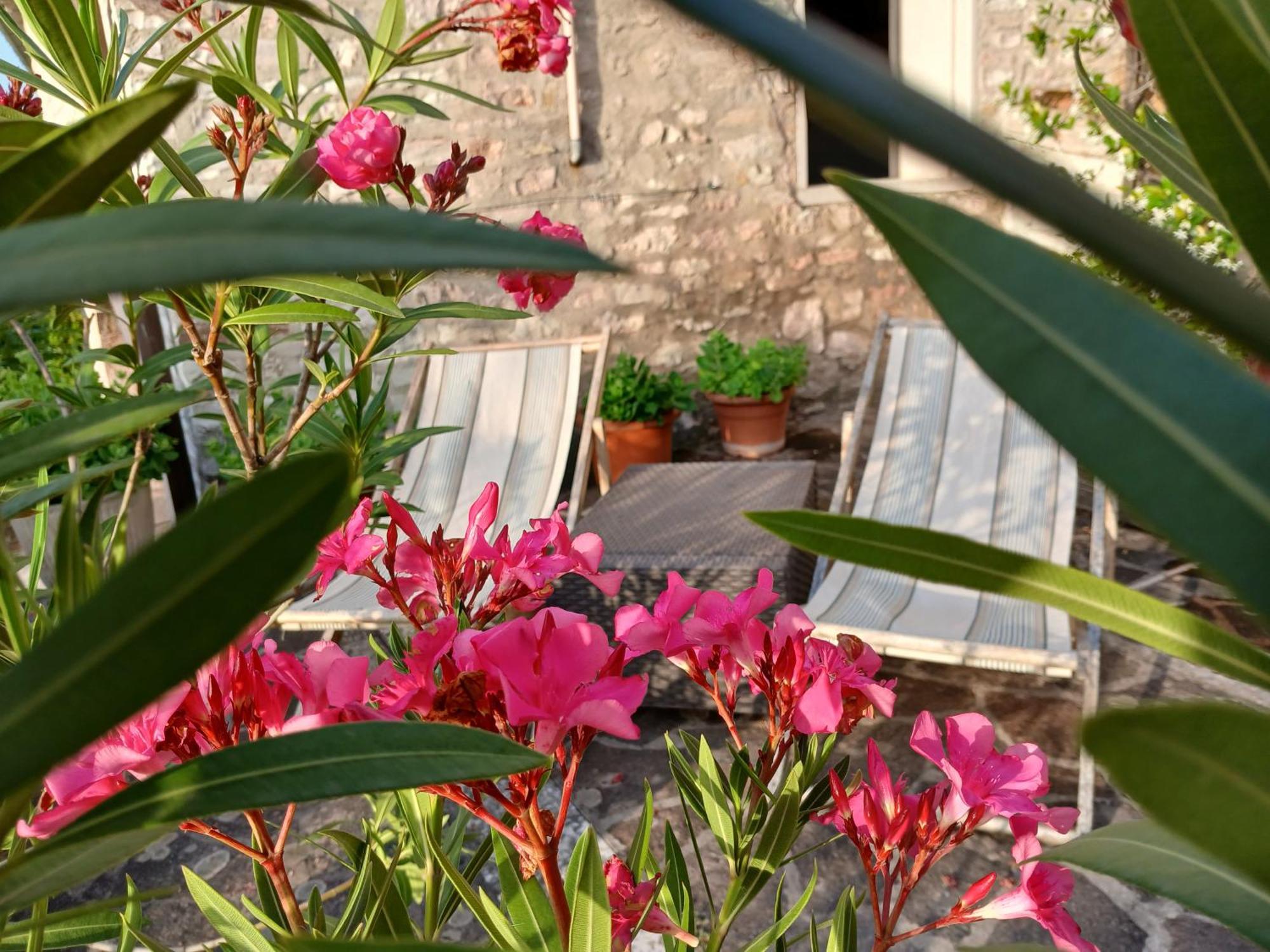 Agriturismo Del Frontino - Lo Studio 阿夸拉尼亚 外观 照片