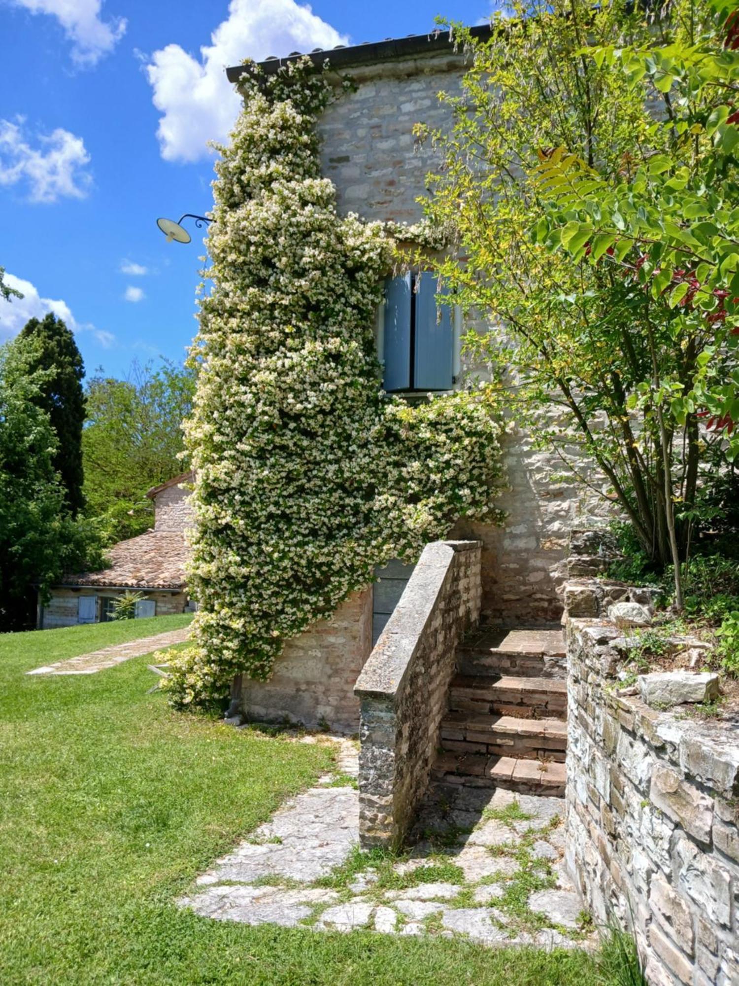 Agriturismo Del Frontino - Lo Studio 阿夸拉尼亚 外观 照片