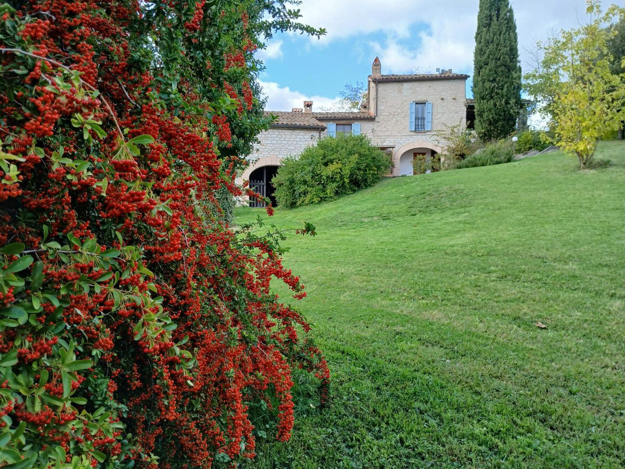 Agriturismo Del Frontino - Lo Studio 阿夸拉尼亚 外观 照片